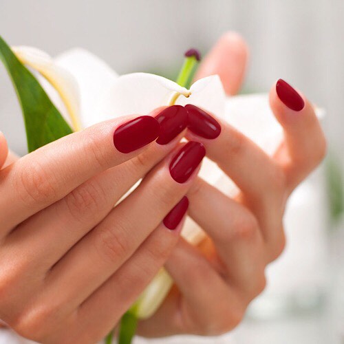 DAINTY NAILS AND SPA LAKE MARY - children's services